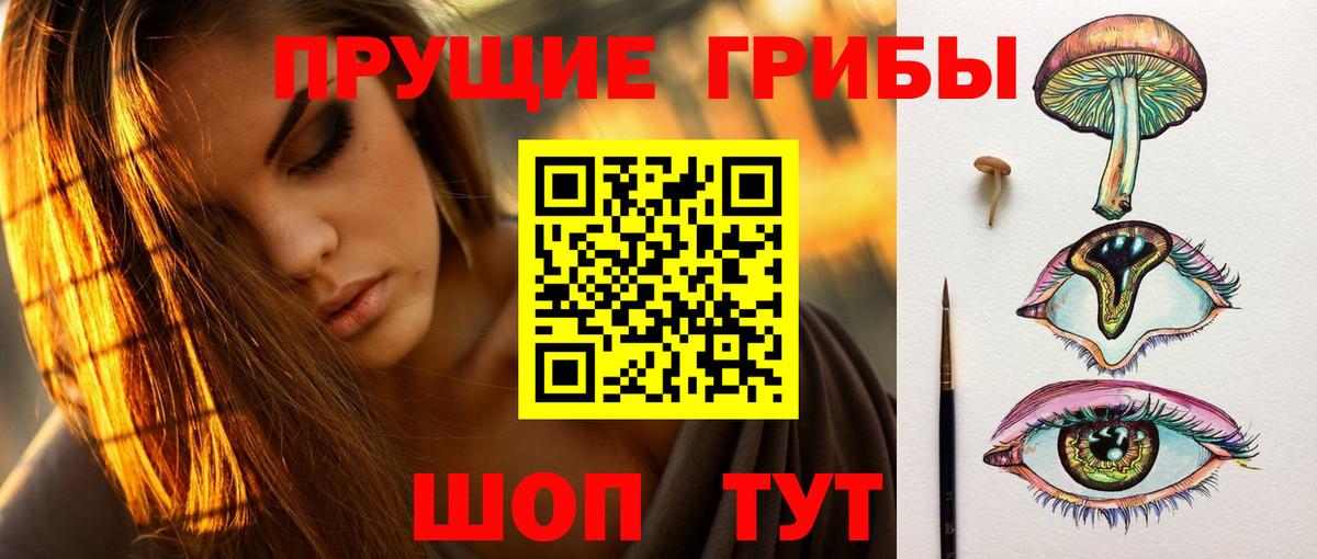 Менделеевск  Псилоцибиновые грибы Psilocybine cubensis  Вход с VPN 