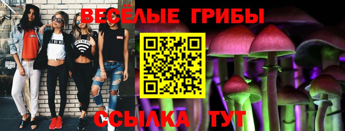 Псилоцибиновые грибы мухоморы Менделеевск